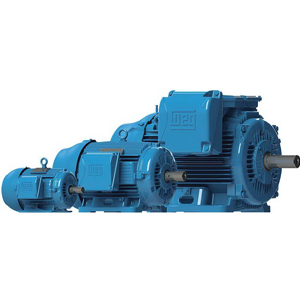 มอเตอร์ (Motor)